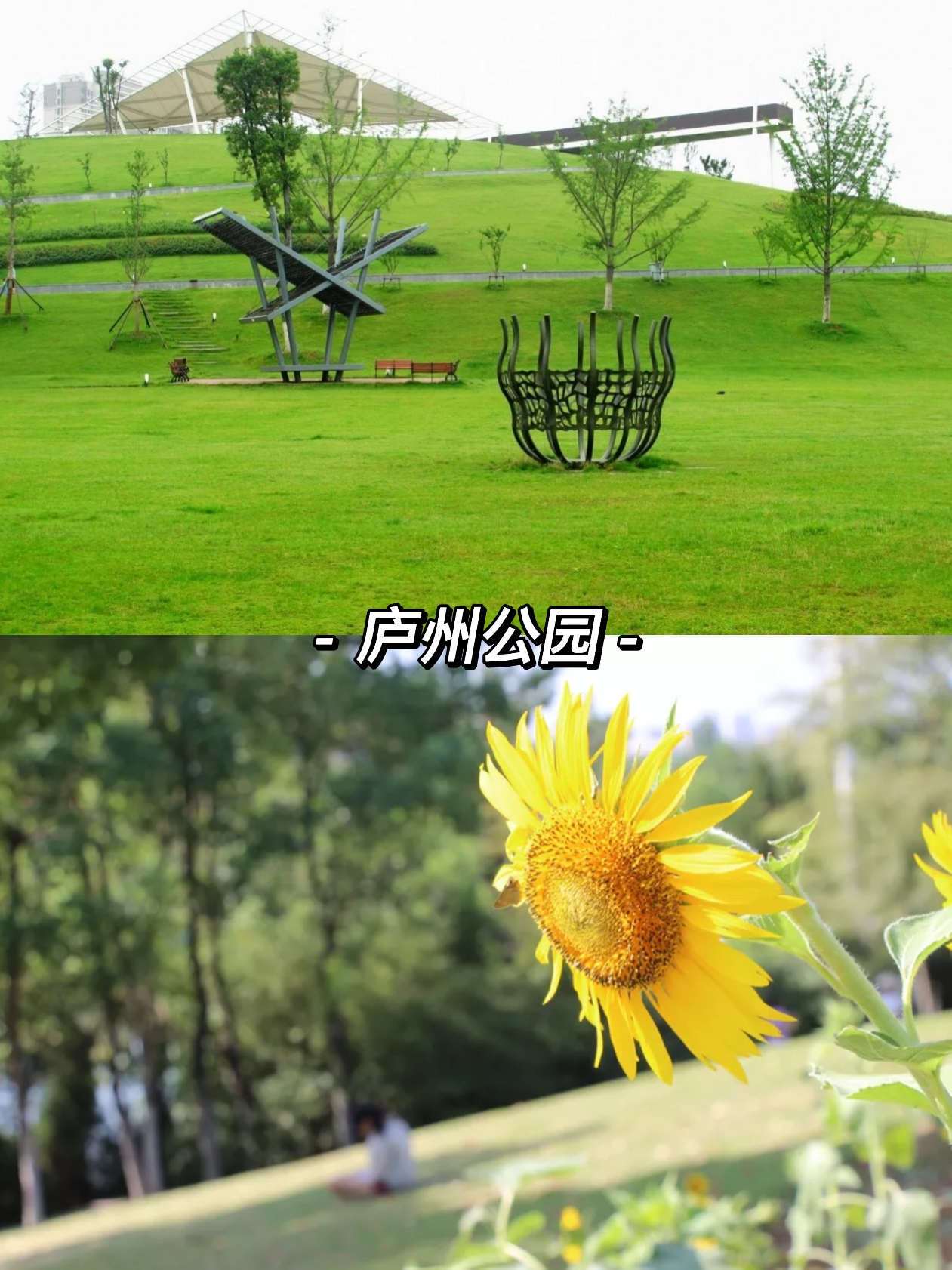 2020合肥冷门公园,合肥能拍出大片的地方