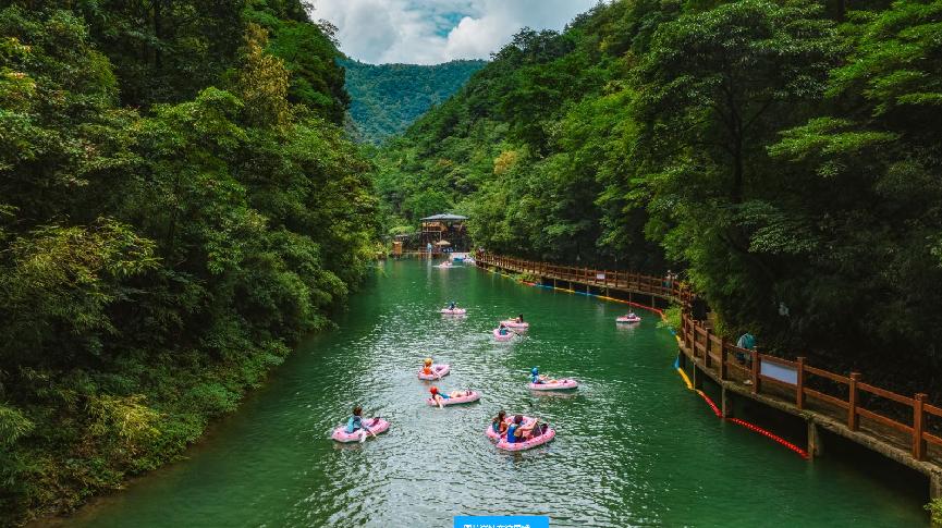 金佛山旅游体验,来金佛山体验清凉之旅