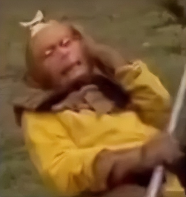 终于，谷歌翻译也被停了