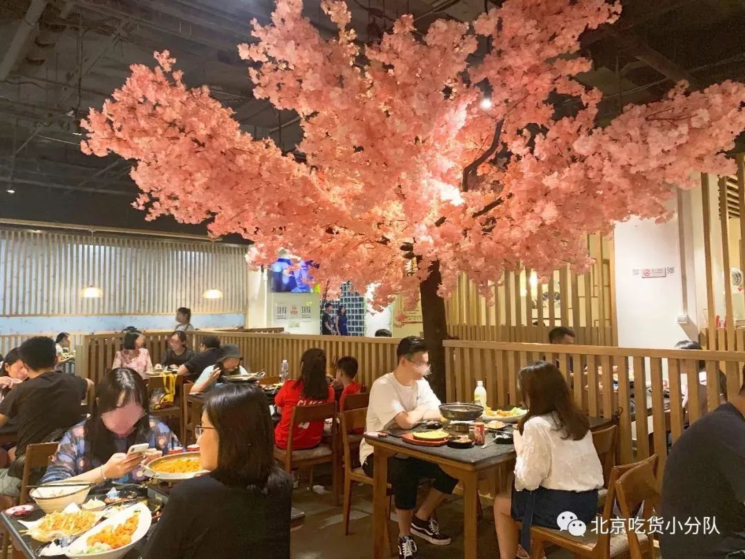 五道口美食探店,五道口好吃的前十