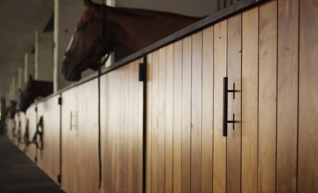 阿根廷EstudioRamos建筑事务所-真诚的现代主义！|EstudioRamos