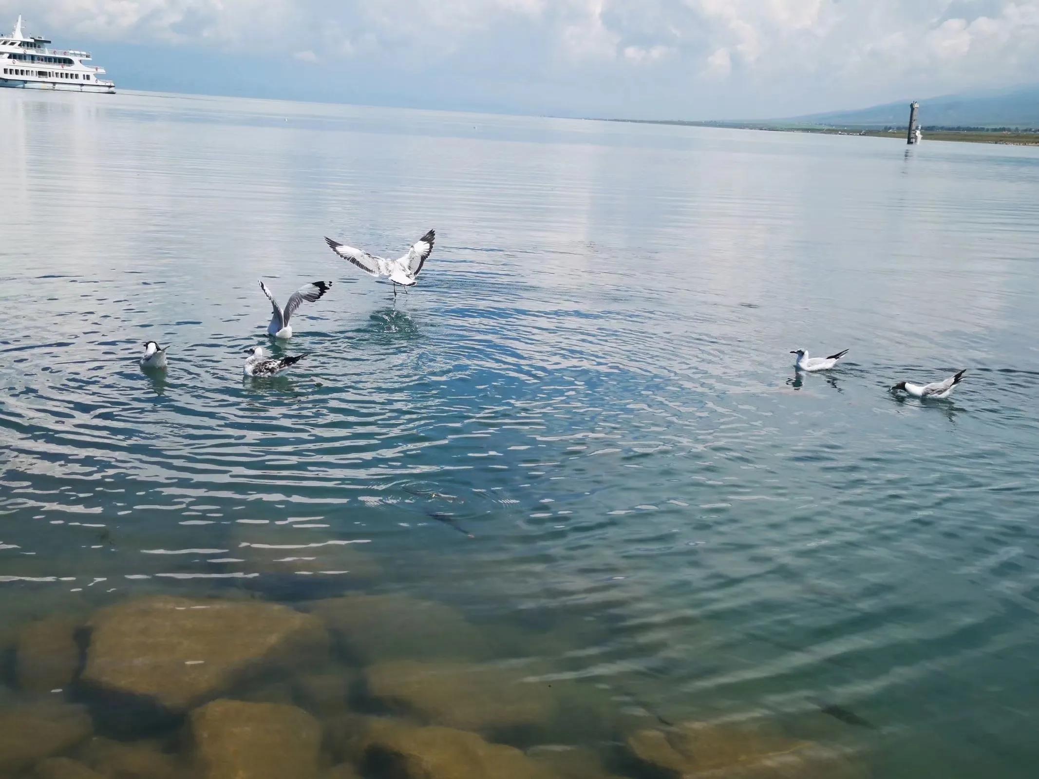 青海跟团游为什么不包餐,什么人不建议去青海旅游