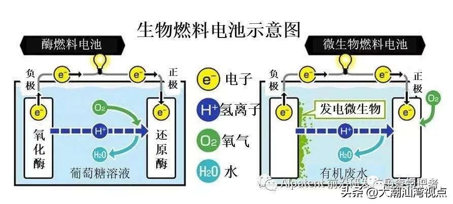 电池的分类及区别,电池的分类