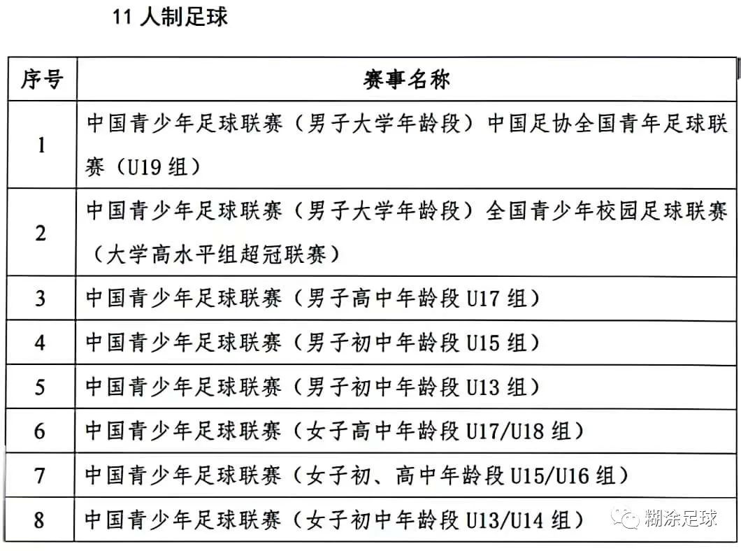 全国青少年足球联赛全国总决赛,中国青少年足球等级考试