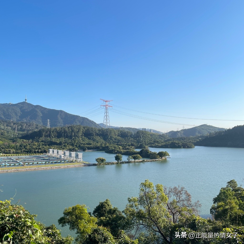 深圳市罗湖淘金山绿道登山口,深圳淘金山绿道海拔高