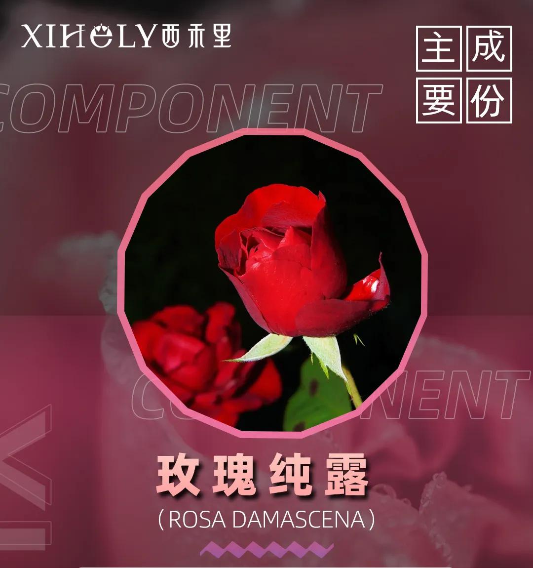 西禾里至臻玫瑰极光养肤成分表,揭露美白真相