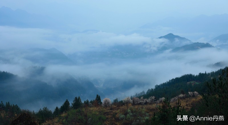 四川万源市旅游攻略,四川达州周边旅游攻略景点必去