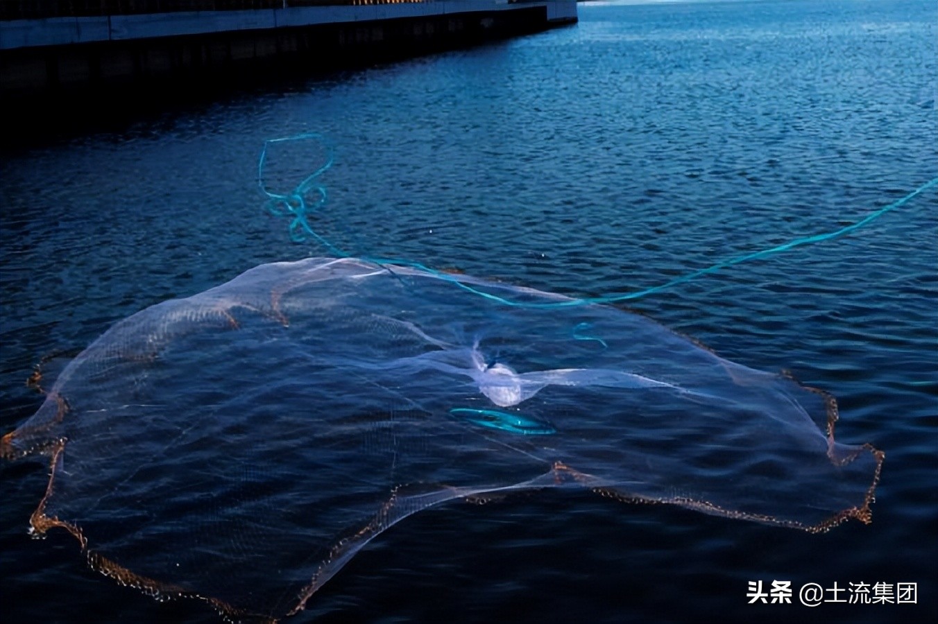 2024年海洋伏季休渔规定,公海有休渔期的限制吗