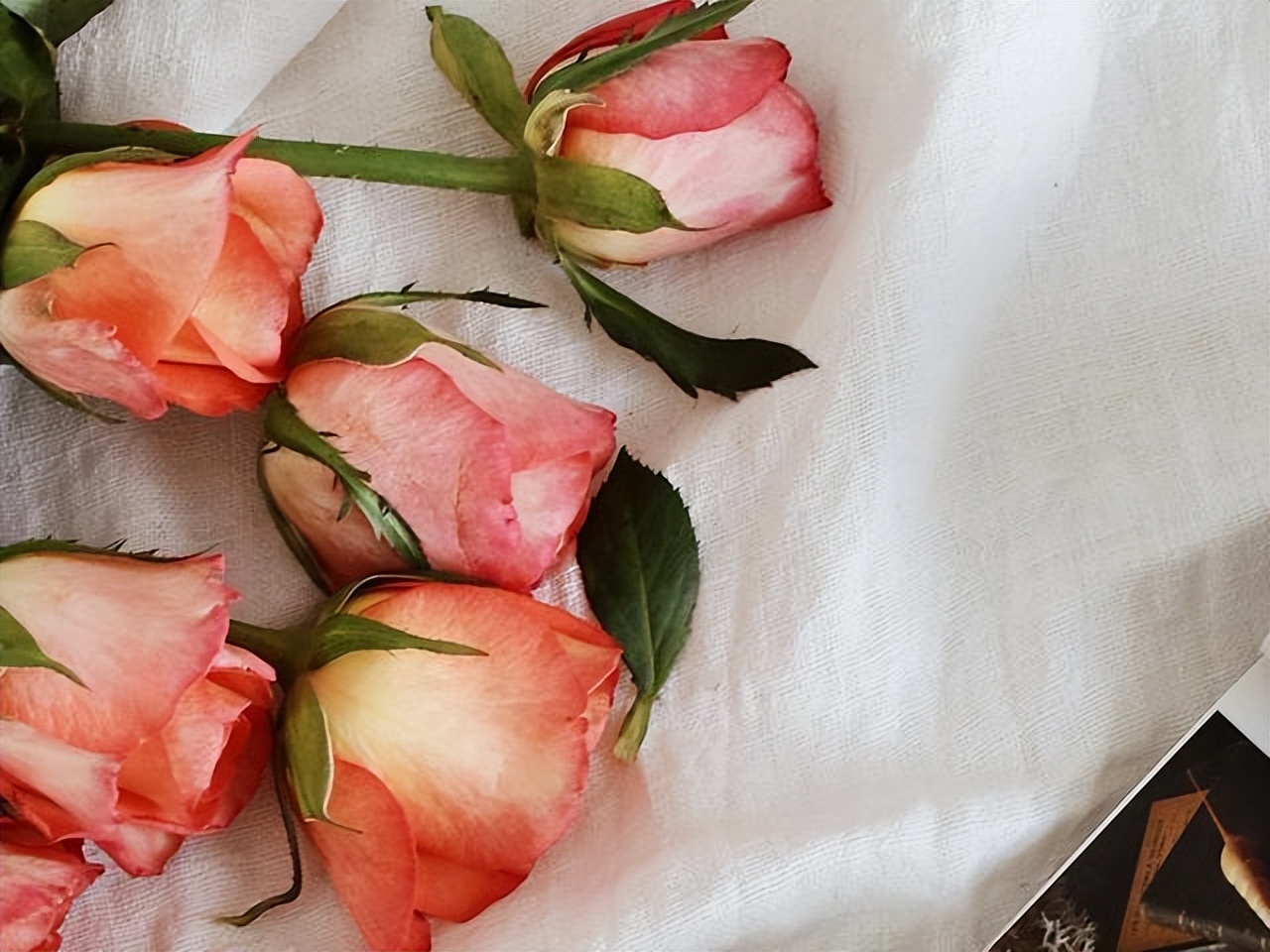 人生是怎样的一部电视剧,人生是怎样的