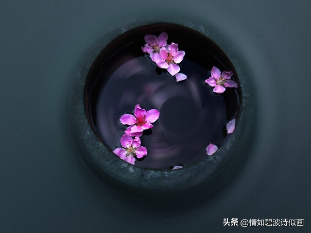 散文你是我一生最美的梦,抒情散文你是我生命中最美相遇