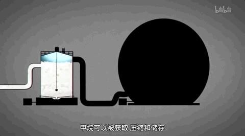 最后一部良心之作,一部真正良心之作全程毫无尿点