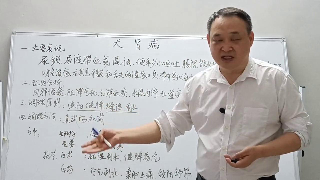 家庭养犬合理布局,养犬要注意什么