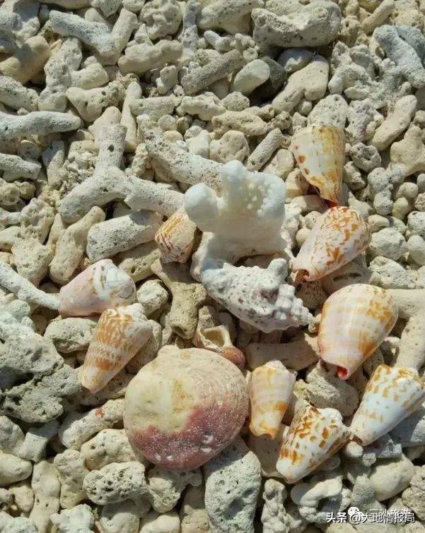 只有中国人才能去的三沙市,在三沙市的体验