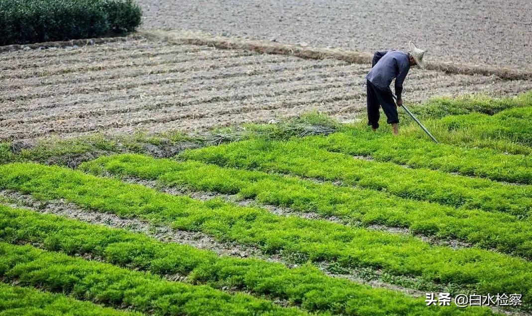 “寅吃卯粮”的机动地承包合同，是否有效？