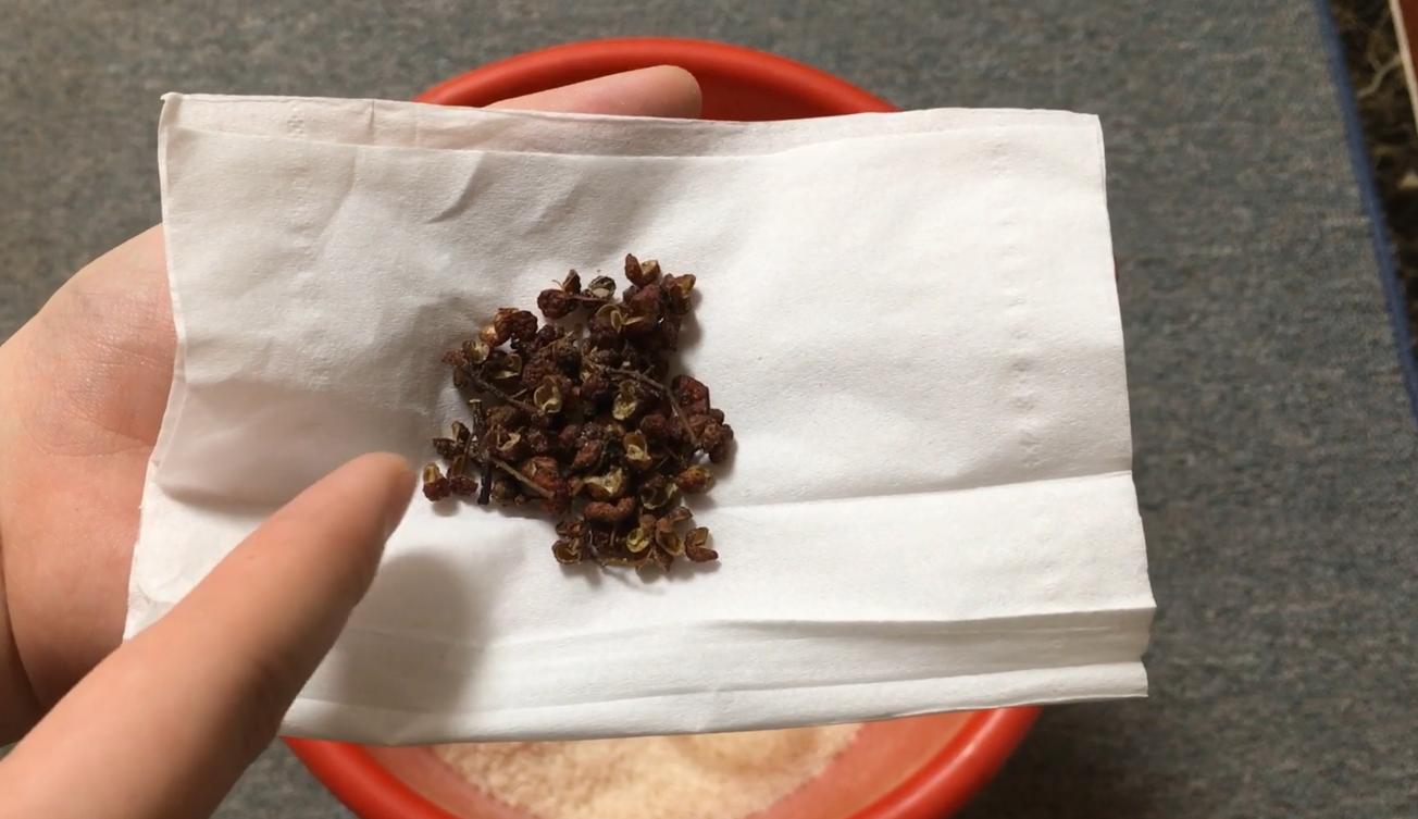 大米放在米桶里会生虫吗,防米虫米桶为什么还会生虫