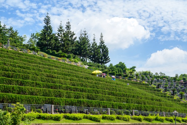 坟上有洞有什么寓意,老祖宗坟墓有洞预示着什么