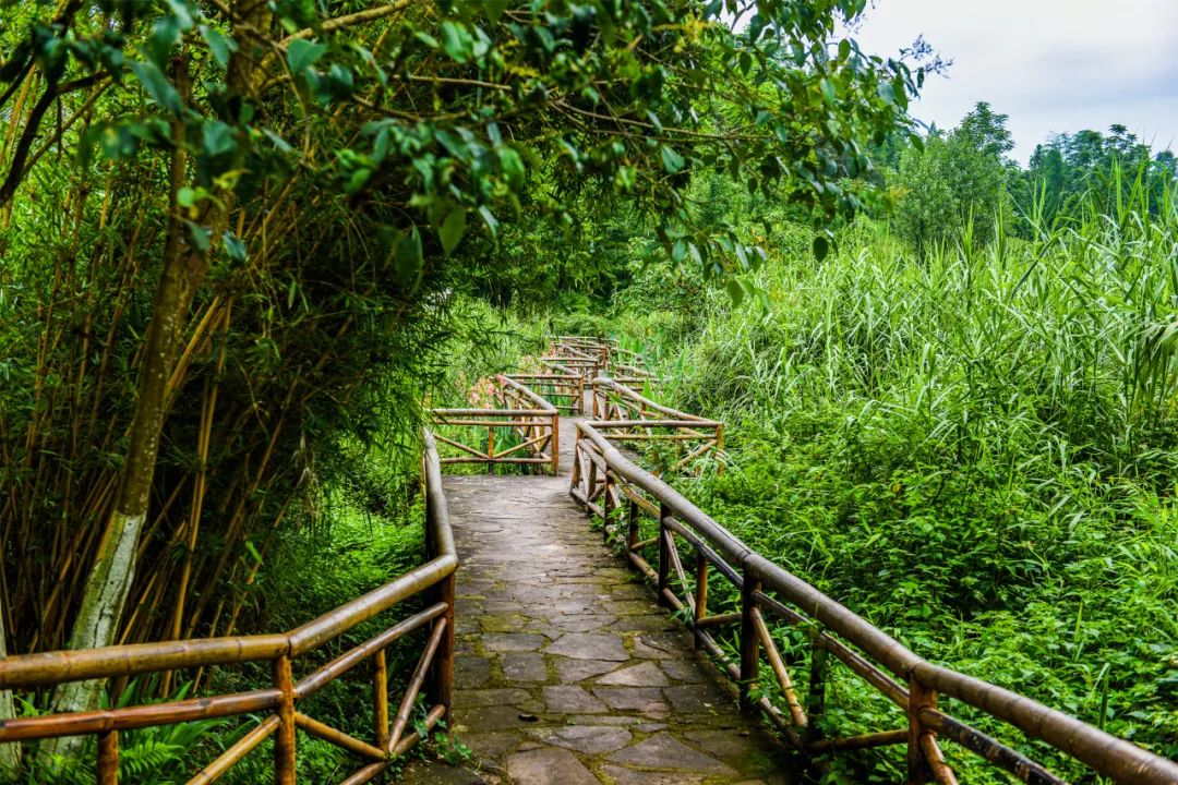 沐川旅游景点大全最新,沐川乡村旅游景点介绍大全