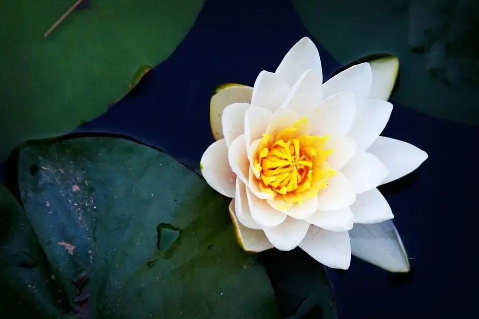 想要征服女人学会这三招才最有用,征服女人的4个诀窍