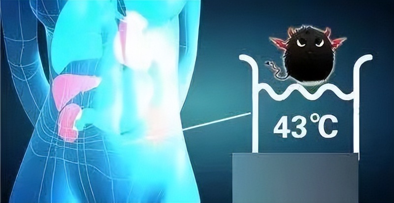 肿瘤君台词,肿瘤君电视剧