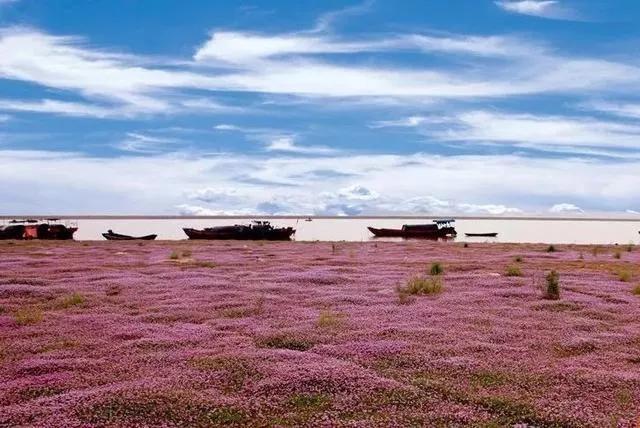 苦难的过去，救我们生命的鄱阳湖