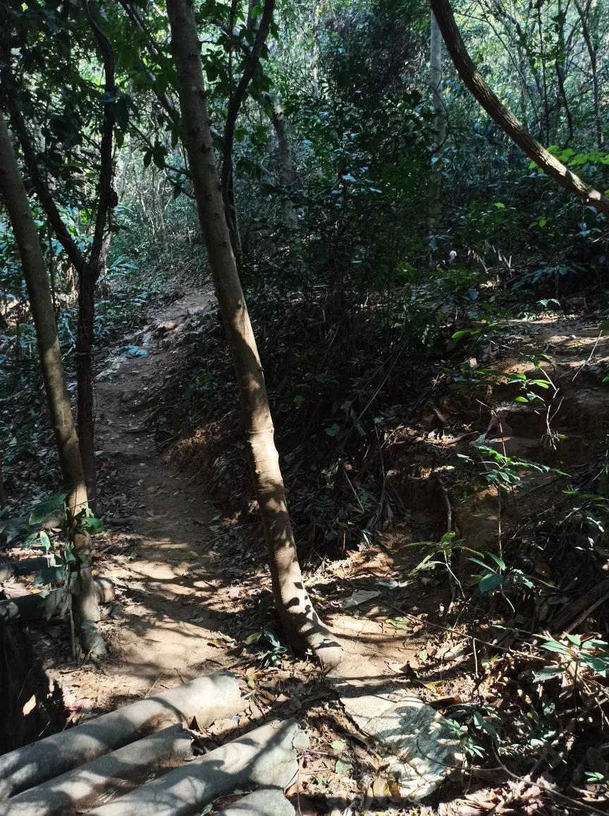 白云山适合徒步吗,一路徒步上白云山