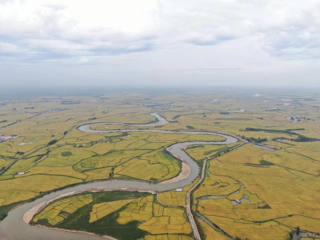 教你几招快速辨别五常大米,五常大米稻花香2号如何辨别真假