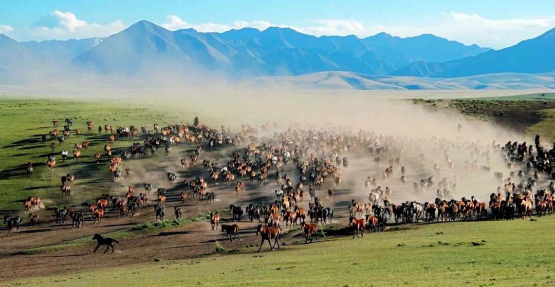 甘肃省各市颜值排名,甘肃省各市照片