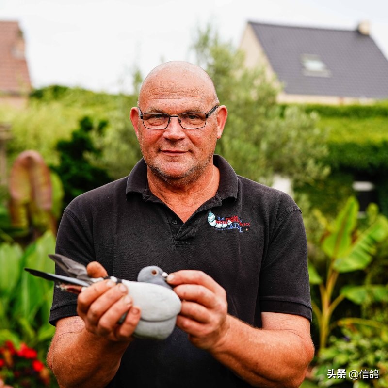 “奶酪”基因就是强大，只要一沾血就能飞冠军，亚精顿III再夺冠