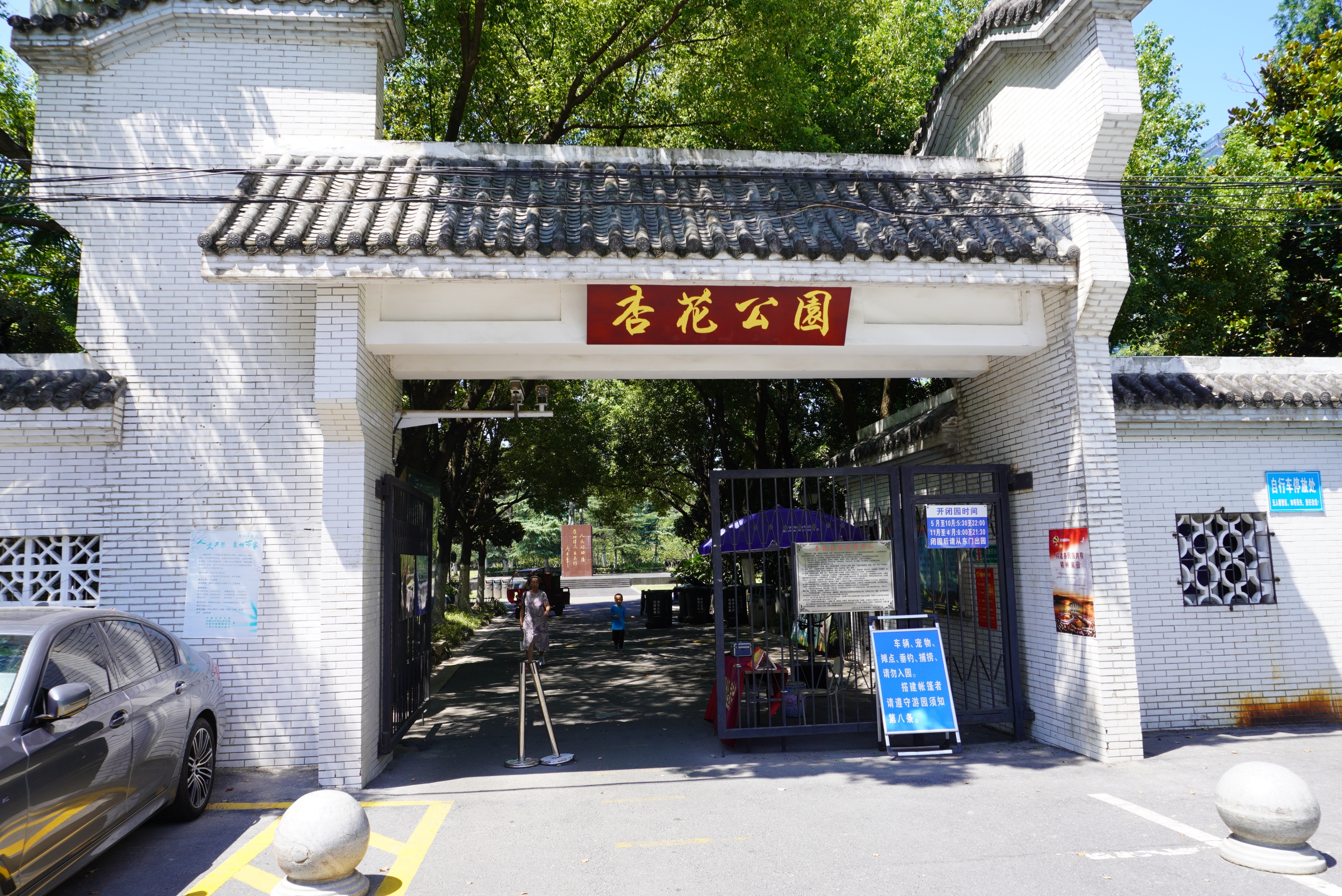 合肥的杏花公园的位置,有一棵杏花树的公园合肥