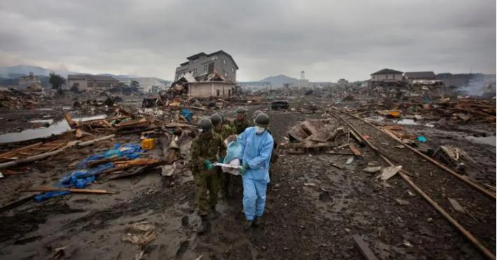 切尔诺贝利抗辐射真菌,切尔诺贝利发现的真菌