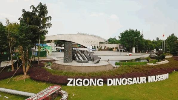 如果你要写自贡，就不要只写自贡