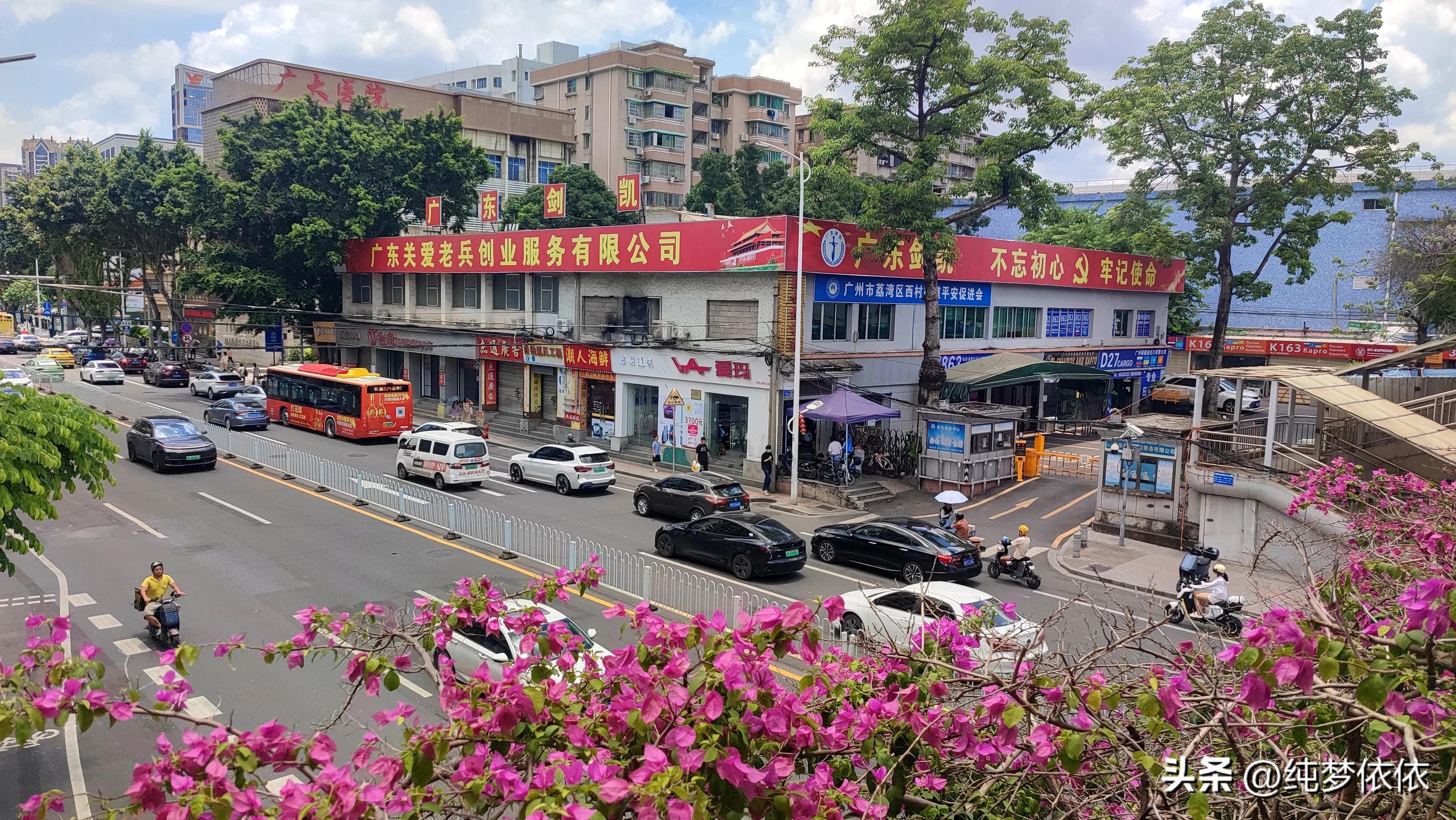 夏天随手一拍就是最好的画面,这张照片勾起了夏天的美好时光