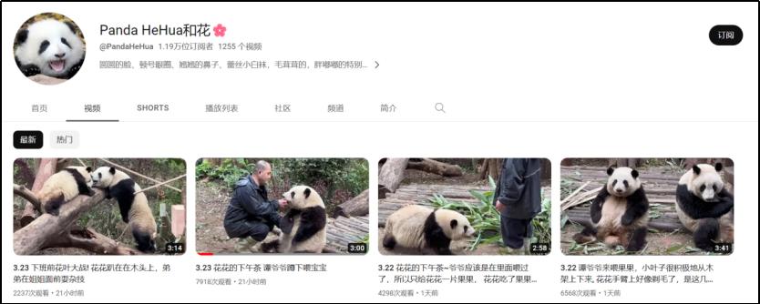 中国十大顶流女明星,顶流女明星穿越电视剧