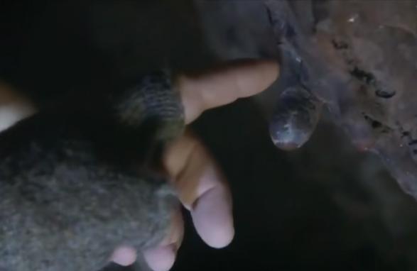 火山爆发有多恐怖,火山爆发有那么恐怖吗