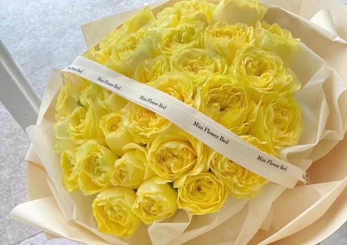 不同颜色的玫瑰花寓意送男生,各种颜色的玫瑰花代表的意思