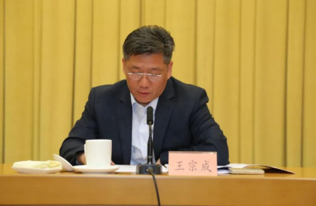 王宗成判刑,王宗成案件最新进展