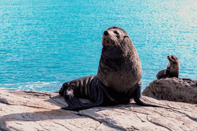 浪漫、纯净、刺激…我想要的精彩尽在新西兰