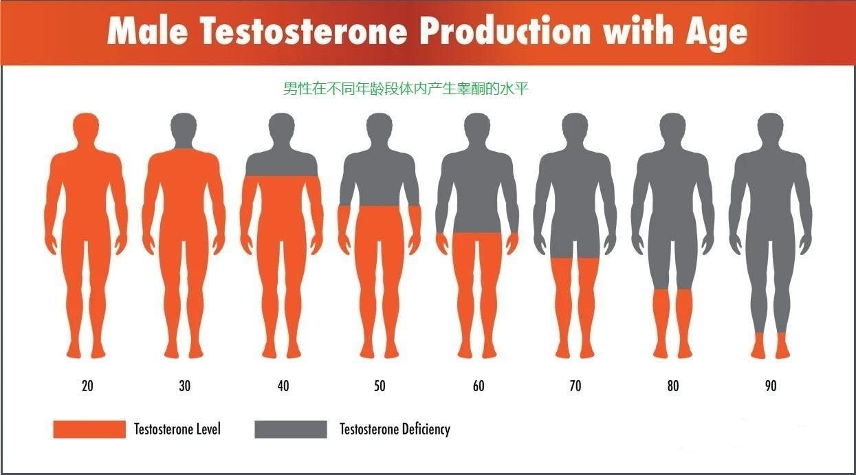 男人为何“好色”？已有科学依据，原来男人拥有两颗“大脑”