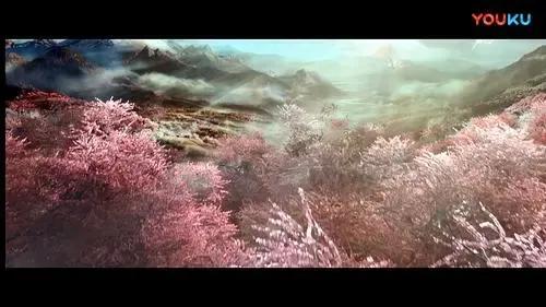 诗经桃夭的意思,诗经桃夭的意思是什么