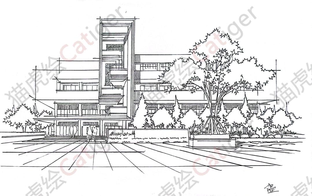 猫虎画,猫虎绘画