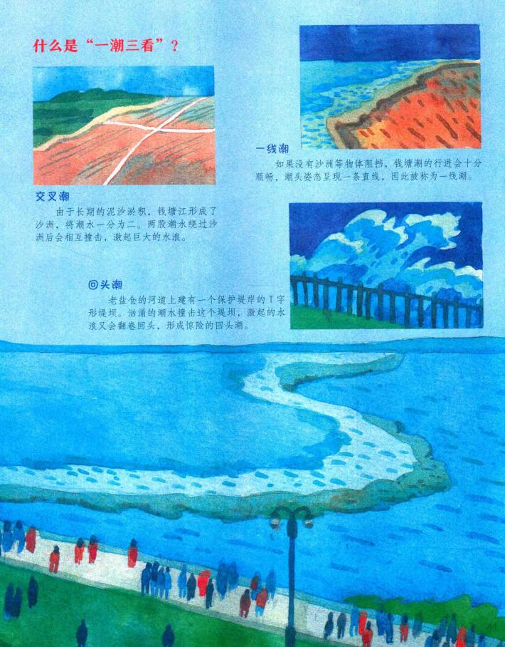 小学四年级课文观潮资料,四年级上册观潮讲了什么