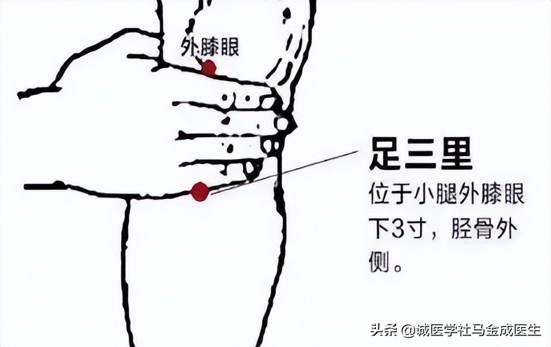 脾虚怎么补？脾气虚，脾阳虚，脾不统血？教你穴位和食疗，不花钱