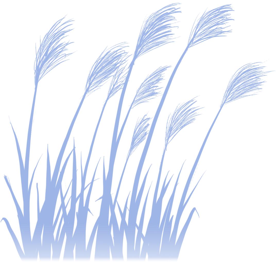 五常稻花香大米怎样辨别真假呢,五常大米国标1354和19266的区别