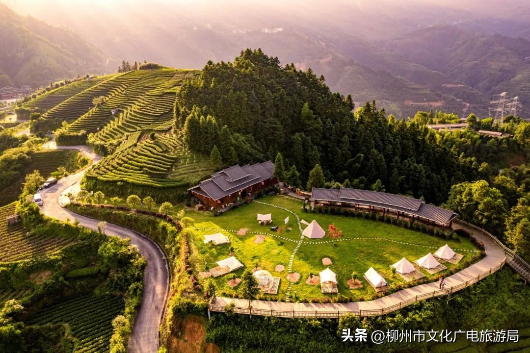 暑期旅游景区活动,暑期旅游优惠活动来啦