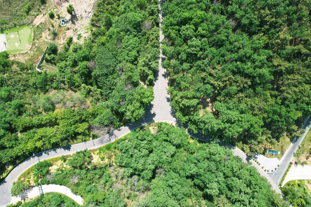 青岛浮山森林公园好玩吗,青岛浮山森林公园开放时间