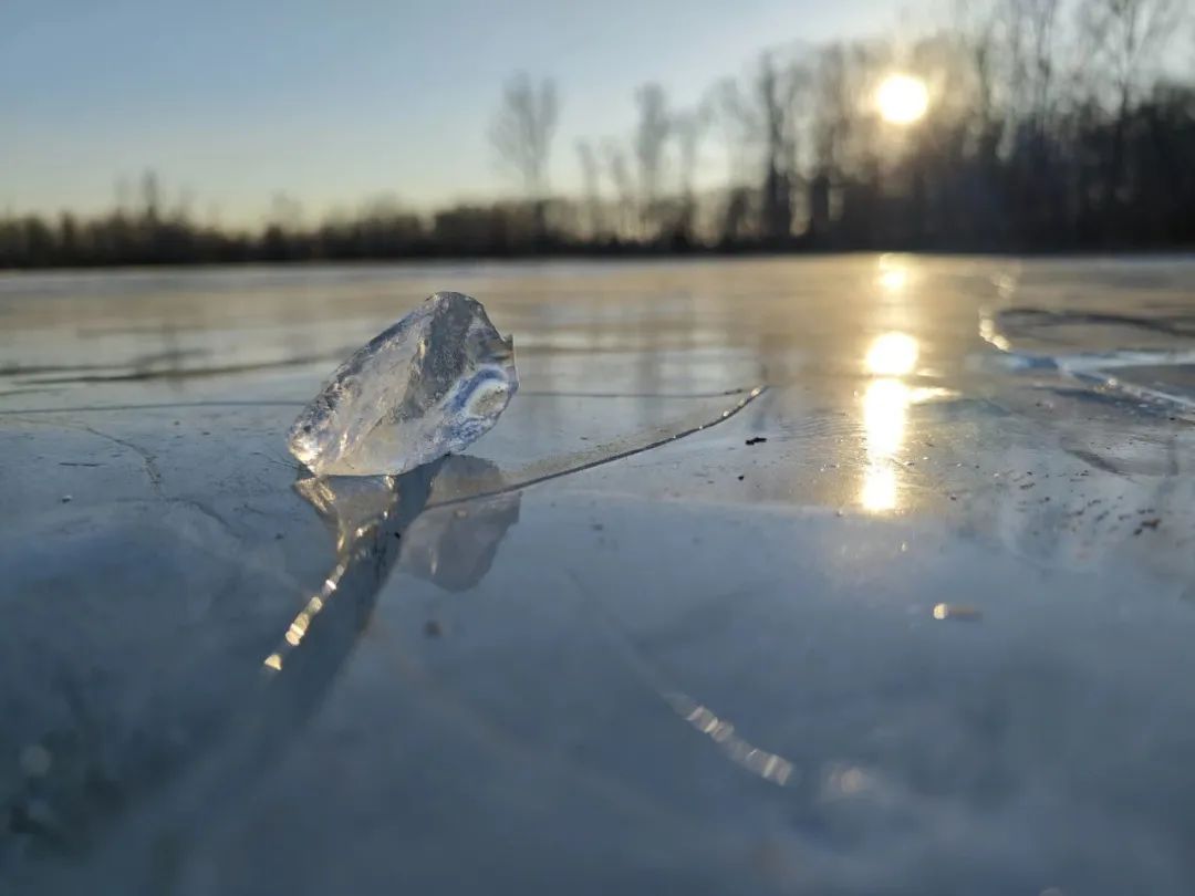 vivox90pro和小米12sultra测评,vivox90pro+和小米12sultra