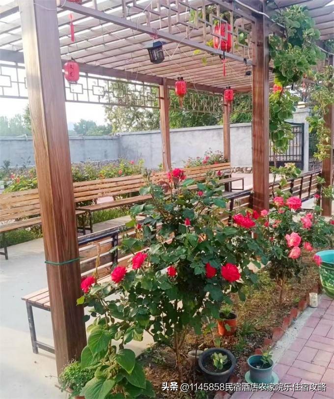 天津蓟县梨木台文龙农家院,天津蓟县梨木台山水农家