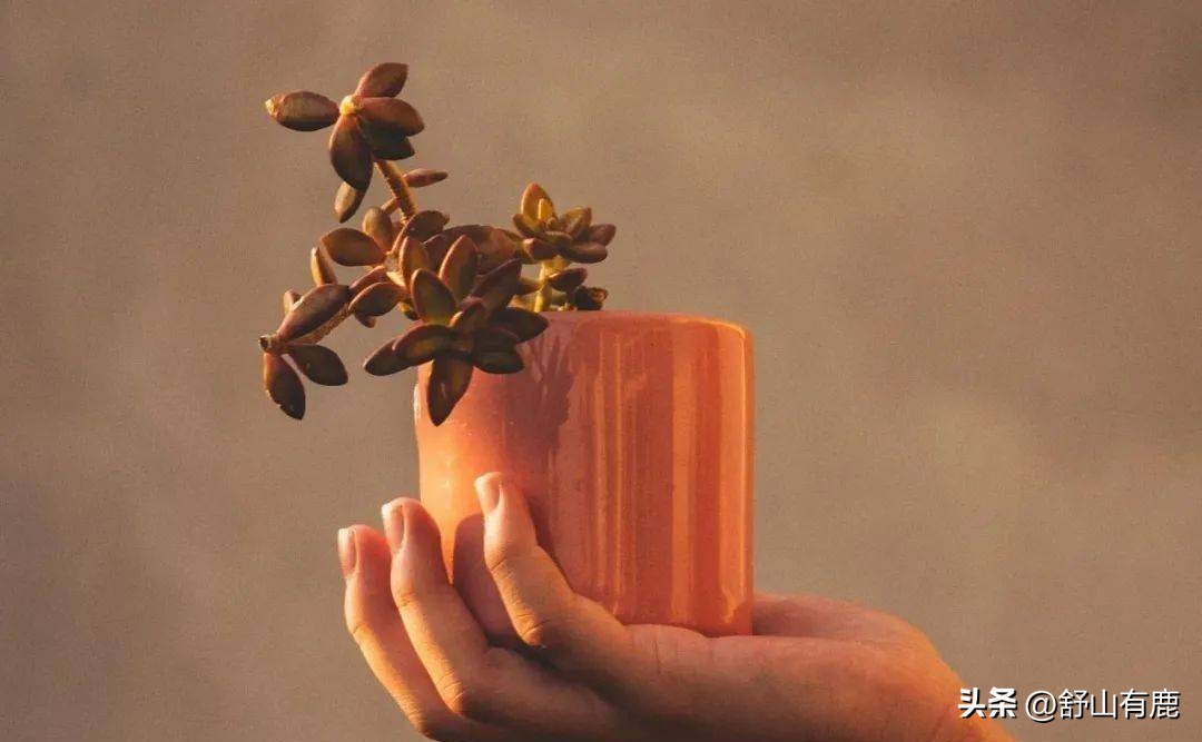 一个人让你有了心痛的感觉,一个人让你产生错觉