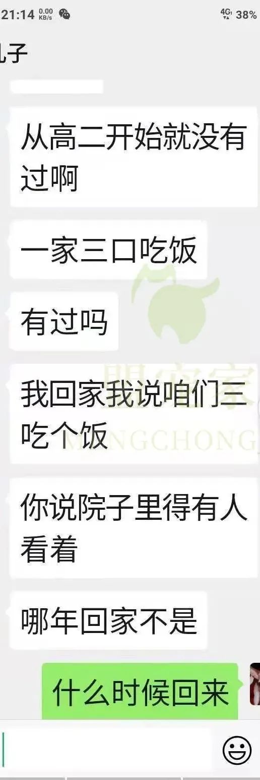 德牧骨癌,流浪德牧被打裂鼻骨跑进医院求助