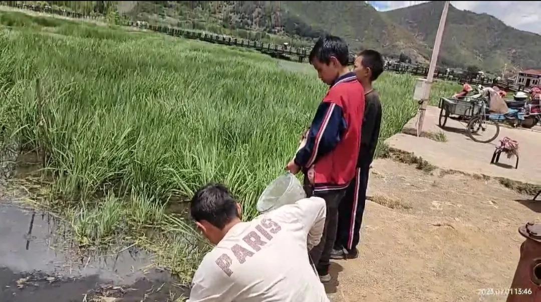 濂冲効鍥芥父璁版掣娌芥箹,娉告步婀栧コ鍎垮浗娓歌